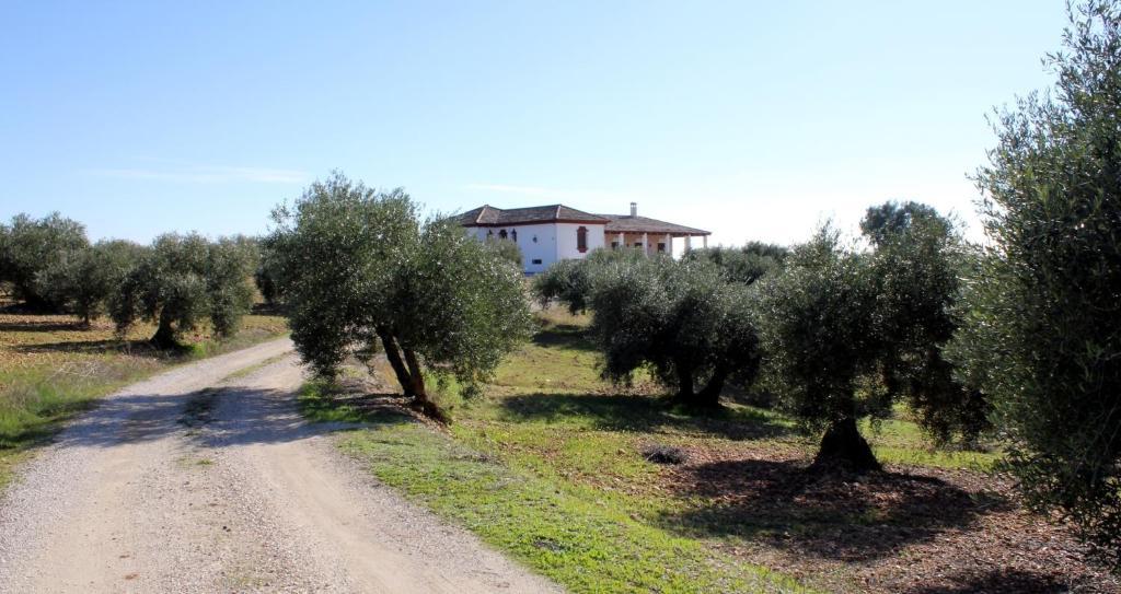 לה קרלוטה Casa Rural La Serrana מראה חיצוני תמונה