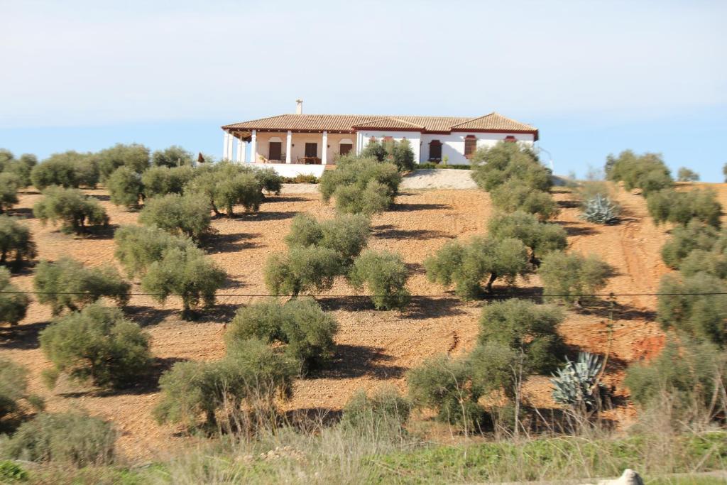 לה קרלוטה Casa Rural La Serrana מראה חיצוני תמונה