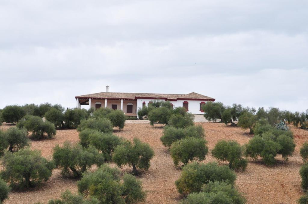 לה קרלוטה Casa Rural La Serrana מראה חיצוני תמונה